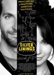 Silver Linings Playbook (2012)