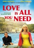 Love Is All You Need (2013)