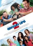 Grown Ups 2 (2013)