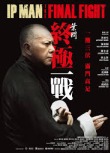 Ip Man: The Final Fight (2013)