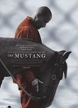 Mustangul (2019)